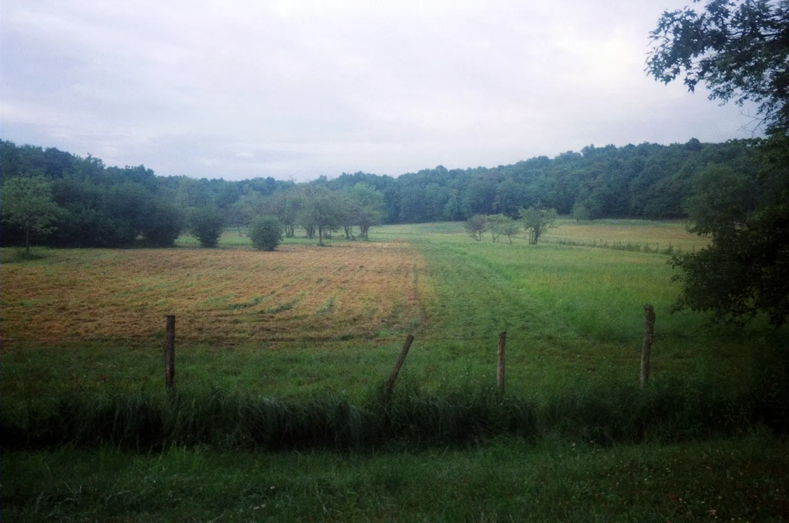 More rainy countryside, though it was actually quite beautiful