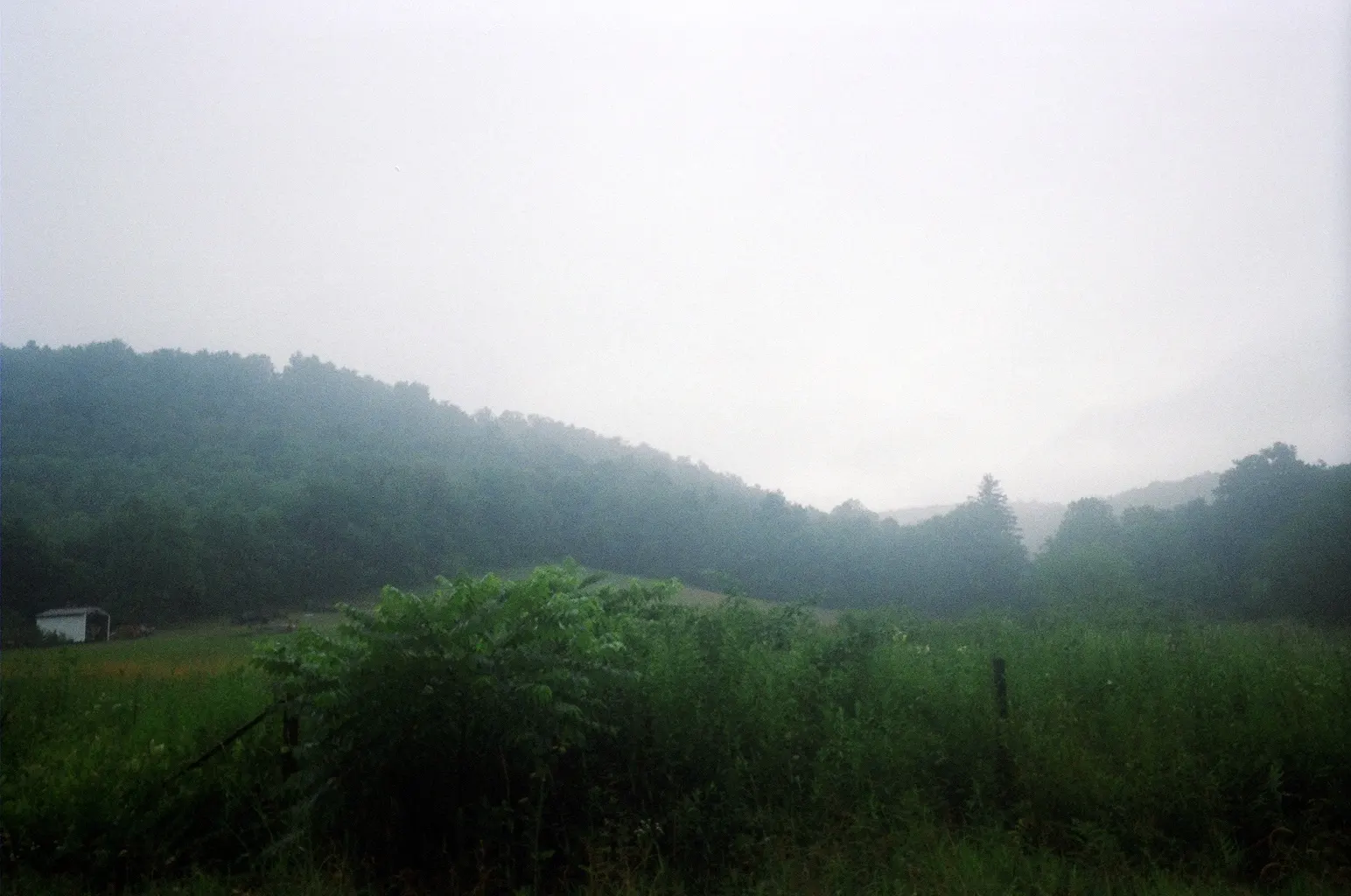 Rainy countryside after the overnight storms