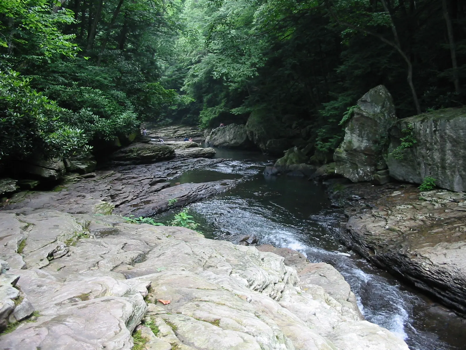 One of the rivers and banks we were getting stuck at, the brush was super dense