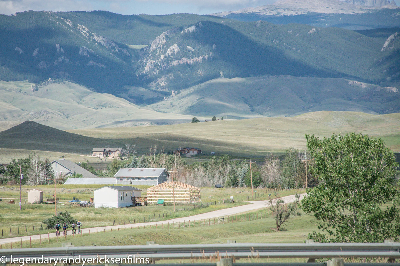 Bighorns in the distance