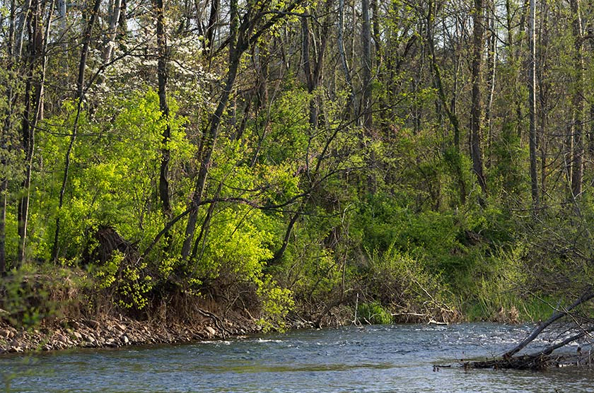 The river we had to ford multiple times.  No bridges here.