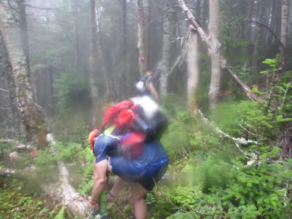 Human plinko... brutal bushwhacking